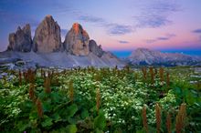 Dolomites - Italy 