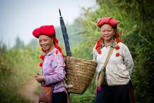 Red Dzao Ladies Vietnam