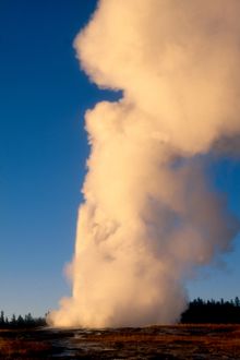 Old Faithful Yellow Stone