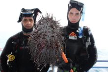 Gabriel Stephen and John Kinbacher carrying a CoTS after a culling expedition