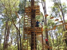Perth's first tree ropes course in Dwellingup