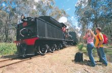 Hotham Valley Steam Ranger in Dwellingup