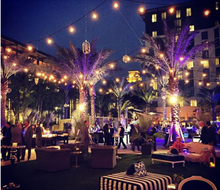 Opening Night Party on the lawn at Hilton West Palm Beach