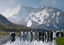 The Antarctic
