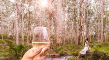Boranup Forest, Margaret River Region Western Australia