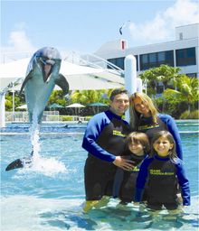 Dolphin Encounter at Miami Seaquarium