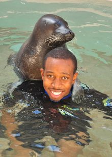 Seal Swim at Miami Seaquarium