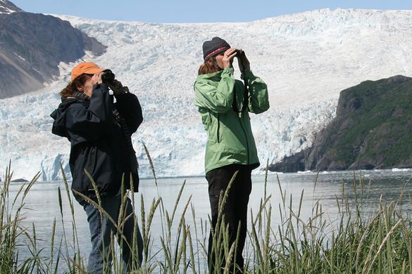 Wildlife Viewing with Alaska Wildland Adventures