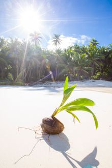 Christmas Island - a nature lover's paradise