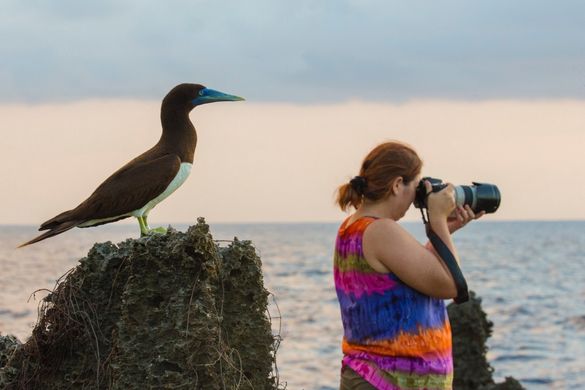 Photo safaris are luring more and more tourists to Christmas Island