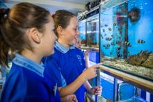 Anneke Everson & Ruby Dowling from Belgian Gardens State School, Townsville