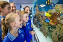 Students from Belgian Gardens State School at their Reef BG Aquarium