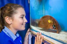 Ruby Dowling from Belgian Gardens State School - part of the Reef Guardians program 