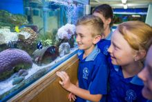 Xavier Hood & Clara Horspool at Belgian Gardens State School, Townsville