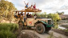 Family fun in Sonoma Wine Country includes an African-style safari at Safari West.