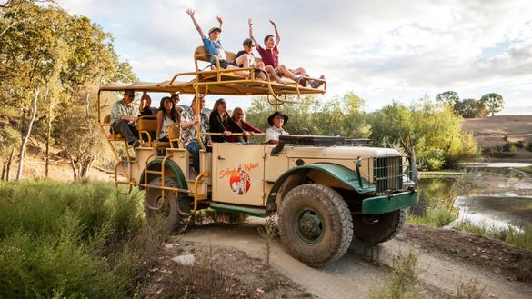 Family fun in Sonoma Wine Country includes an African-style safari at Safari West.