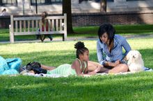 Washington Square is the perfect place for kid-friendly and pet-friendly activities.