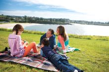 Domestic visitors to NSW attract record  billion