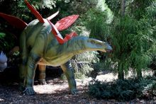 Dinosaur lovers of all ages will totally dig the Prehistoric Garden Week at the Australian National Botanic Gardens