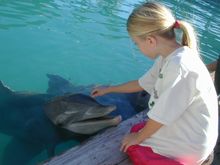 Learning is fun at Miami Seaquarium