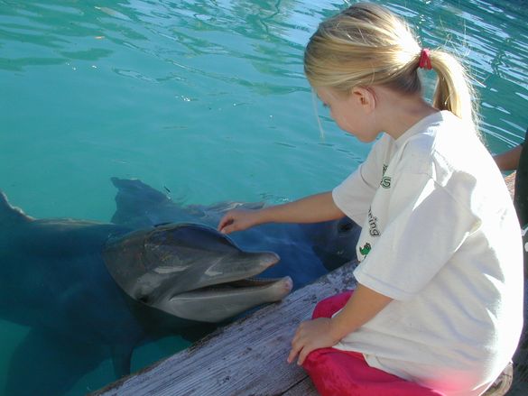 Learning is fun at Miami Seaquarium