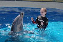 Gulf World Marine Park