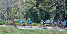 American River Parkway