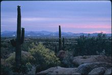 Scottsdale at Twilight - Photo courtesy Scottsdale Convention & Visitors Bureau