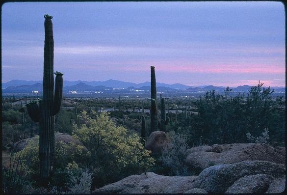 Scottsdale at Twilight - Photo courtesy Scottsdale Convention & Visitors Bureau