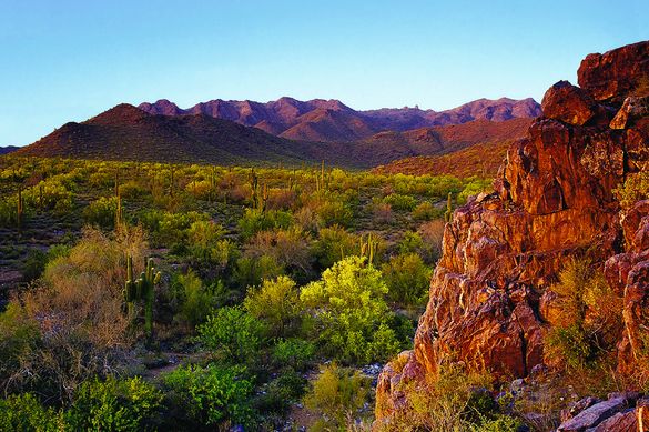McDowell Mountains