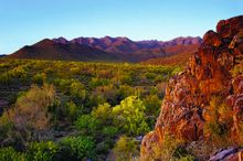 McDowell Mountains