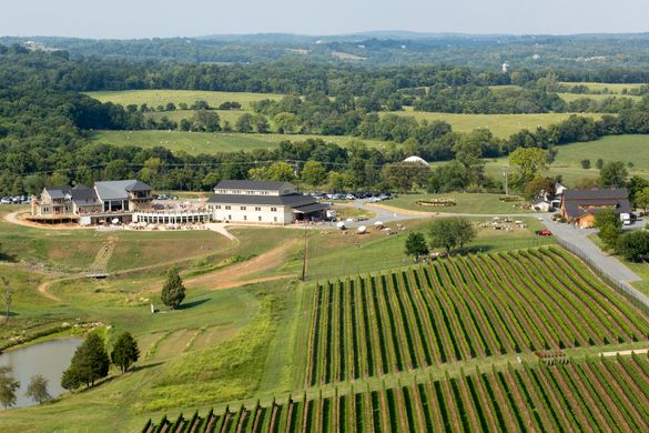 Stone Tower Winery