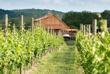 Winery 32