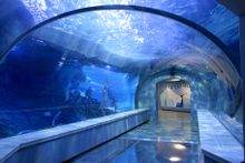 Polk Penguin Conservation Center