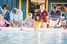 Stingray Bay touch pool