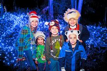 Christmas in the Wild