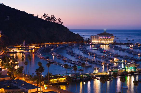 Avalon at Night