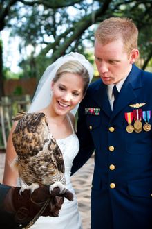 Wedding - animal encounter