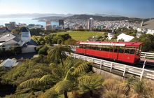 Kelburn Hill, Wellington, Ian Trafford