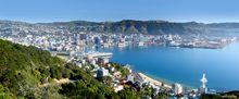 Mount Victoria, Wellington, Rob Suisted