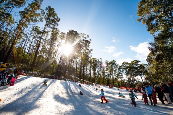 Snow play is fun in Corin Forest Mountain Resort's dedicated snow play area