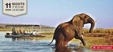 Best of Cape Town and Botswana