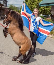 Kein Islandpferd, aber ein großes Talent – Miss EM hat tierisch viel Spaß mit dem kleinen Pony