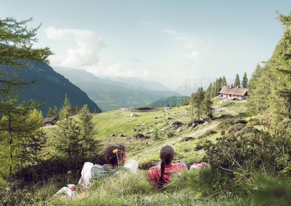 Experience the Austrian Alps