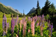 St Anton im summer