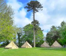 Bell tents at YHA Penzance