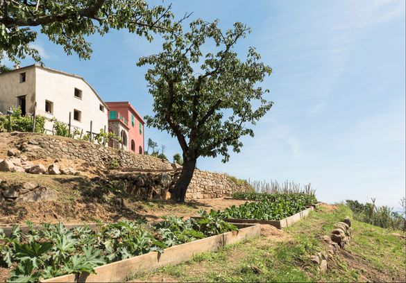 03. Podere Case Lovara a Punta Mesco SP , foto di Davide  Marcesini 2016 © Archivio FAI