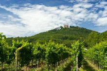 Neustadt Hambach Castle