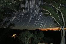 Whitegums star trail