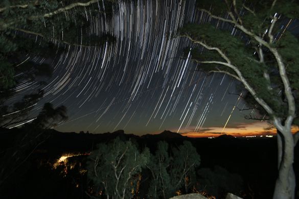 Whitegums star trail